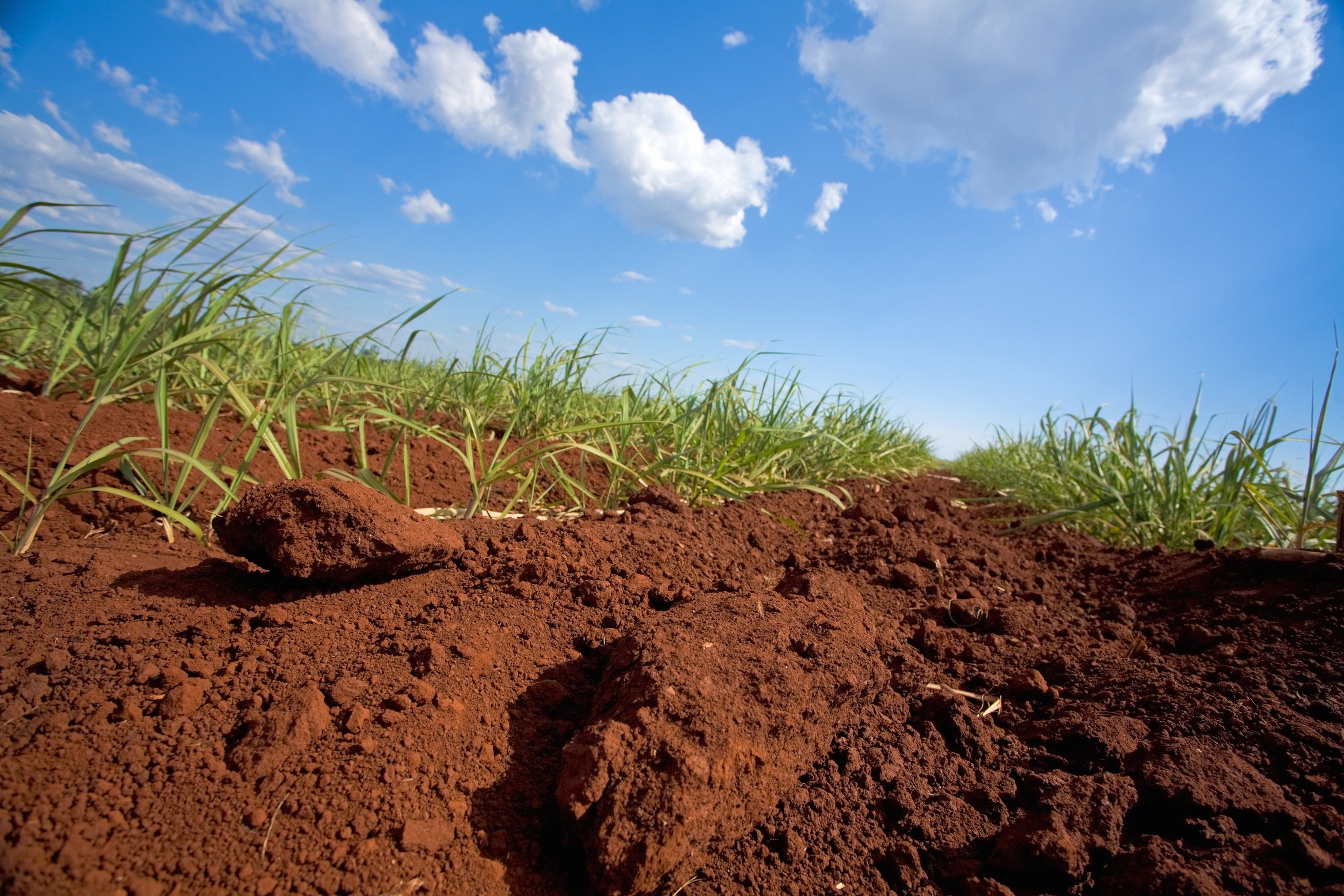 a field with dirt and grass under a blue sky